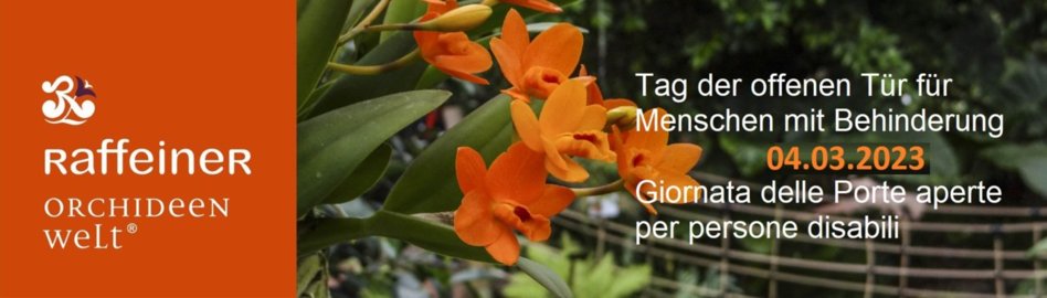 Orchideenwelt Orchideenwelt